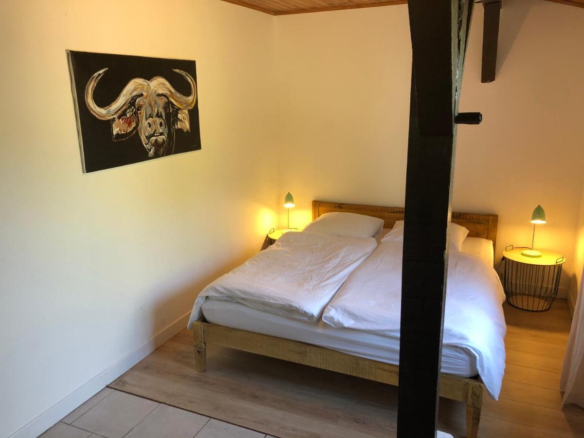 Villa Orcas Léon Dış mekan fotoğraf