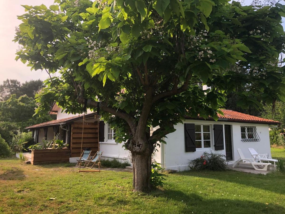 Villa Orcas Léon Dış mekan fotoğraf