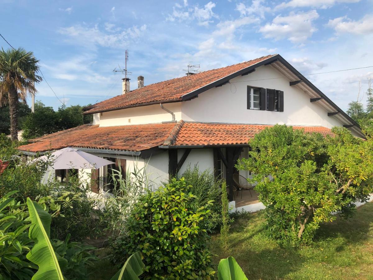 Villa Orcas Léon Dış mekan fotoğraf